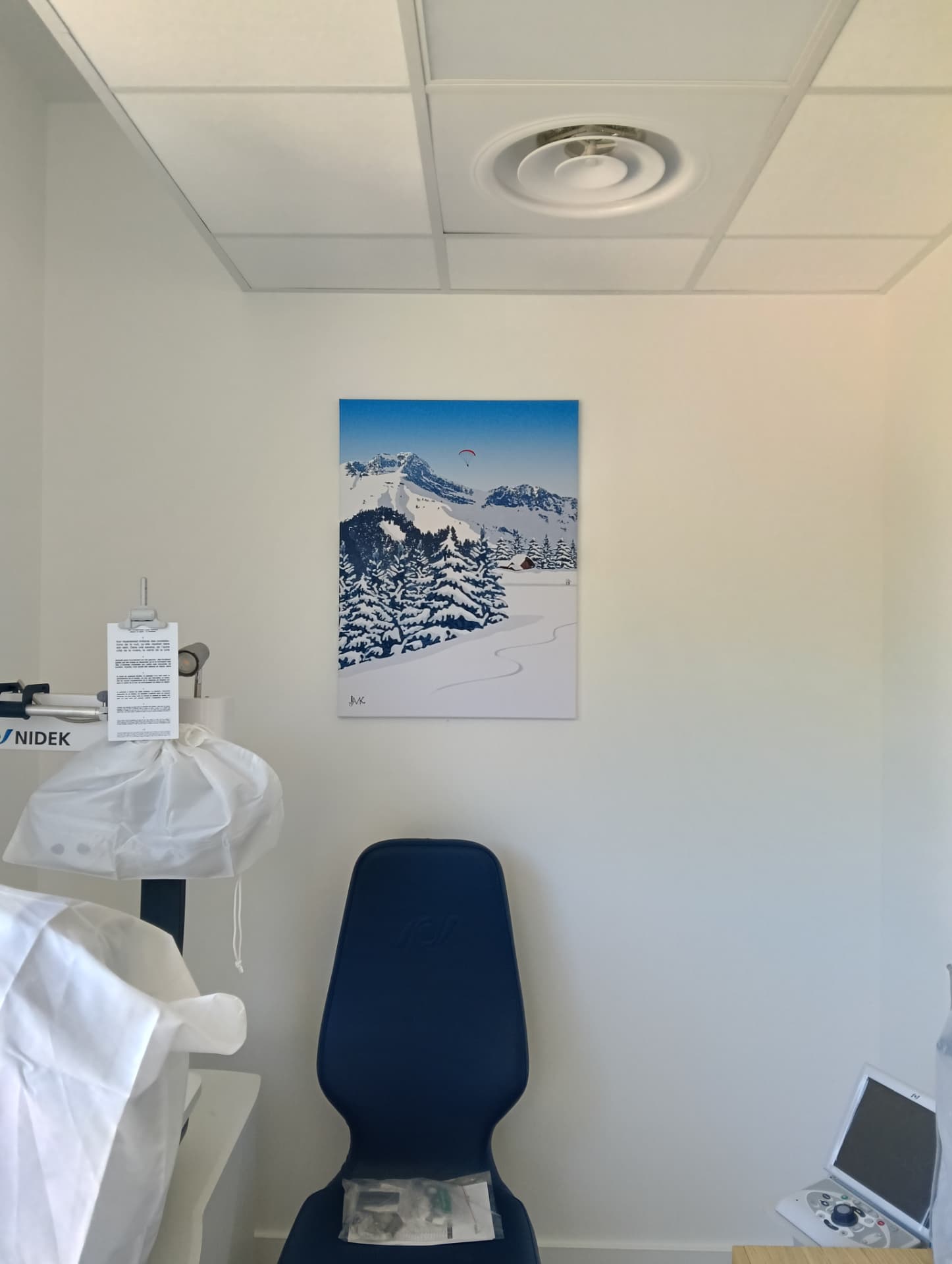 Fixation d'une toile décorative paysage de montagne enneigée dans un espace professionnel à Chambéry